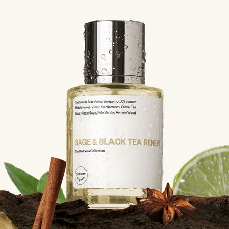 Sage & Black Tea Renew Dossier Originals - dupe knock off imitation duplicate alternative fragrance